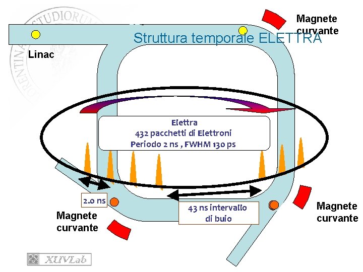 Magnete curvante Struttura temporale ELETTRA Linac Anello Elettra Accumulazione 432 pacchetti di Elettroni Periodo