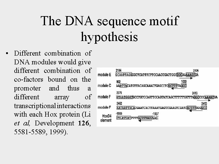 The DNA sequence motif hypothesis • Different combination of DNA modules would give different