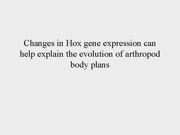 Changes in Hox gene expression can help explain the evolution of arthropod body plans