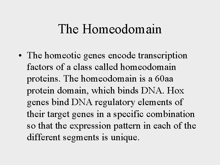 The Homeodomain • The homeotic genes encode transcription factors of a class called homeodomain