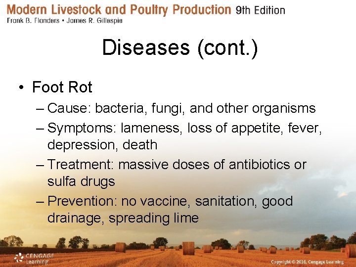 Diseases (cont. ) • Foot Rot – Cause: bacteria, fungi, and other organisms –