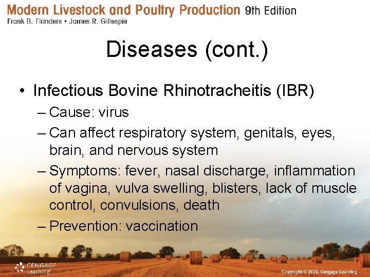 Diseases (cont. ) • Infectious Bovine Rhinotracheitis (IBR) – Cause: virus – Can affect
