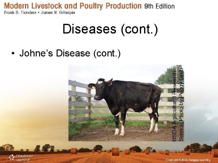 Diseases (cont. ) • Johne’s Disease (cont. ) 