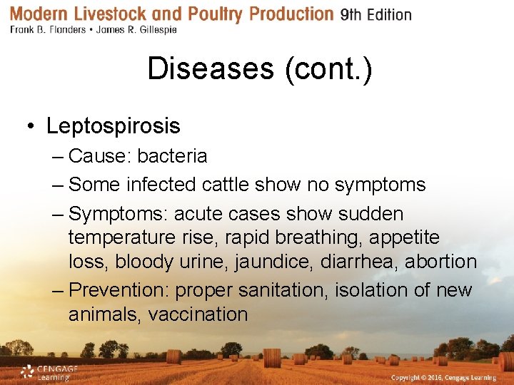Diseases (cont. ) • Leptospirosis – Cause: bacteria – Some infected cattle show no