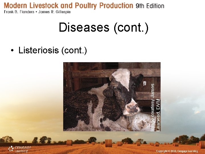 Diseases (cont. ) • Listeriosis (cont. ) 