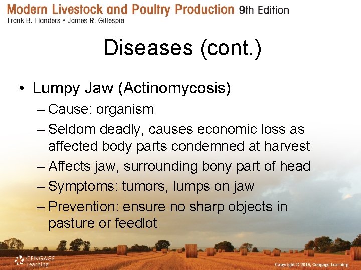 Diseases (cont. ) • Lumpy Jaw (Actinomycosis) – Cause: organism – Seldom deadly, causes