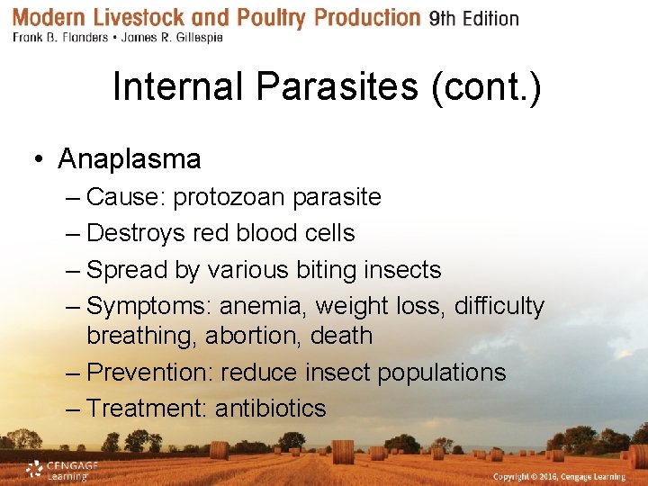 Internal Parasites (cont. ) • Anaplasma – Cause: protozoan parasite – Destroys red blood