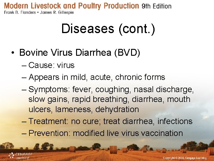 Diseases (cont. ) • Bovine Virus Diarrhea (BVD) – Cause: virus – Appears in