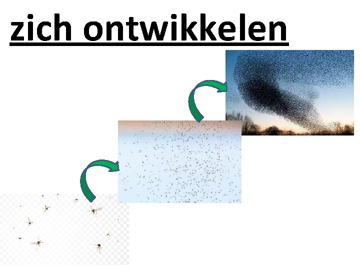 zich ontwikkelen 