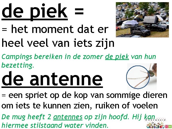 de piek = = het moment dat er heel van iets zijn Campings bereiken