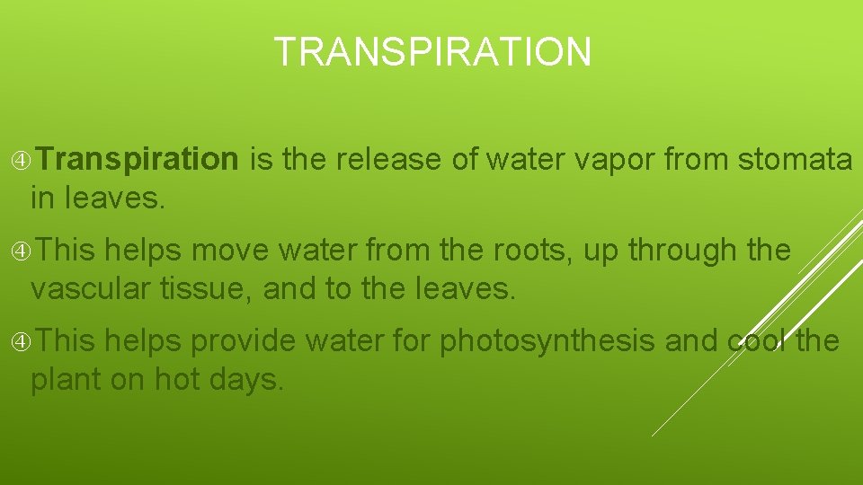 TRANSPIRATION Transpiration is the release of water vapor from stomata in leaves. This helps