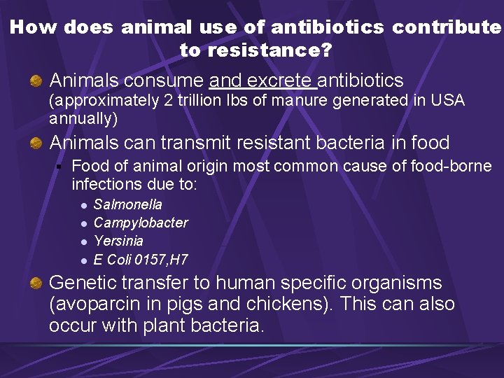 How does animal use of antibiotics contribute to resistance? Animals consume and excrete antibiotics