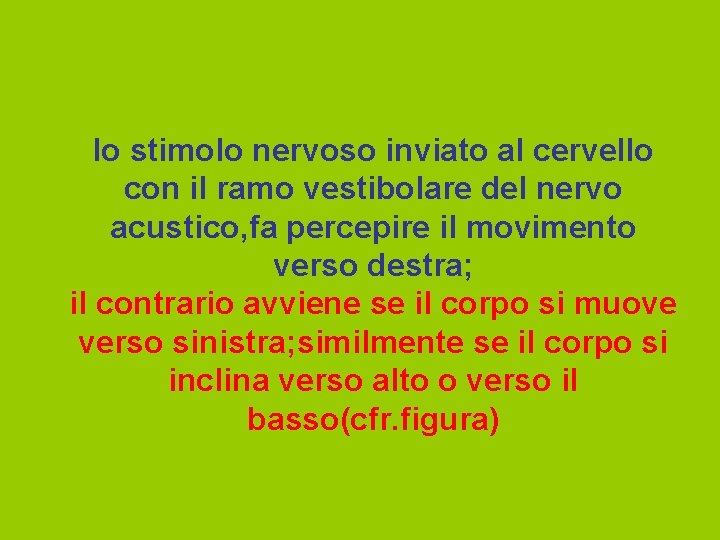 lo stimolo nervoso inviato al cervello con il ramo vestibolare del nervo acustico, fa