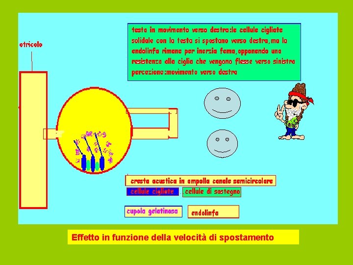 Effetto in funzione della velocità di spostamento 