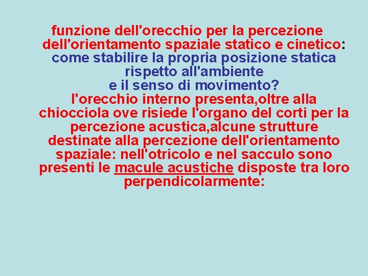 funzione dell'orecchio per la percezione dell'orientamento spaziale statico e cinetico: come stabilire la propria