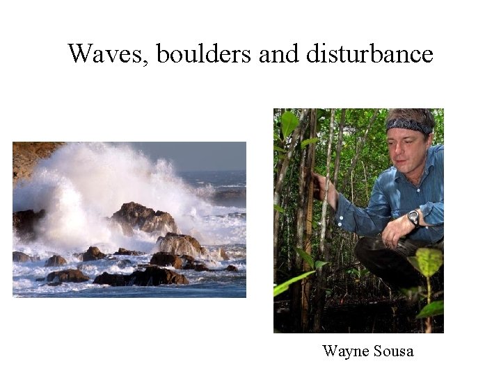 Waves, boulders and disturbance Wayne Sousa 