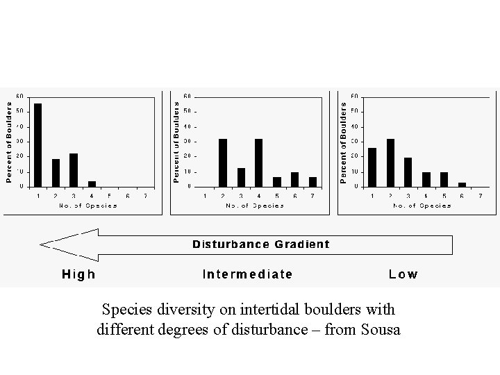 Species diversity on intertidal boulders with different degrees of disturbance – from Sousa 