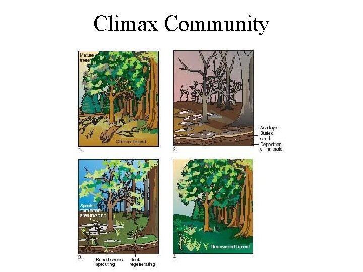 Climax Community 