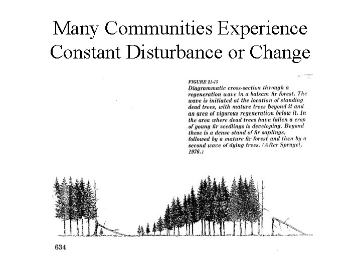 Many Communities Experience Constant Disturbance or Change 