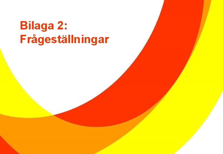 Bilaga 2: Frågeställningar 