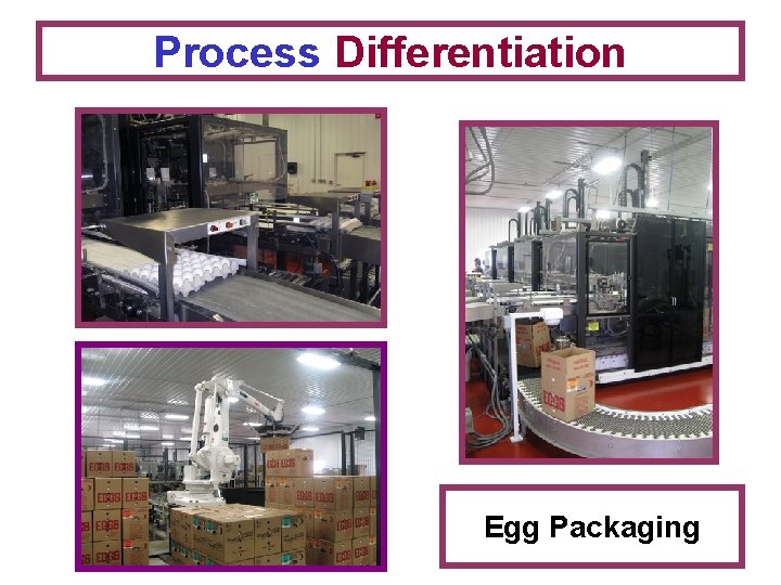 Process Differentiation Egg Packaging 