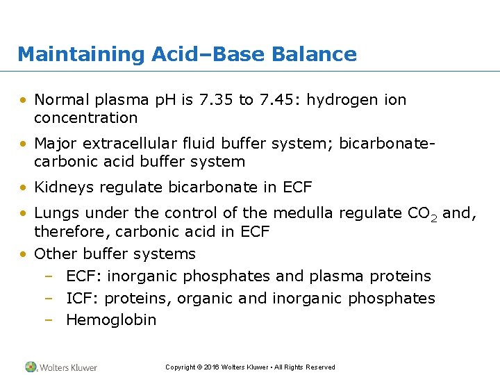 Maintaining Acid–Base Balance • Normal plasma p. H is 7. 35 to 7. 45: