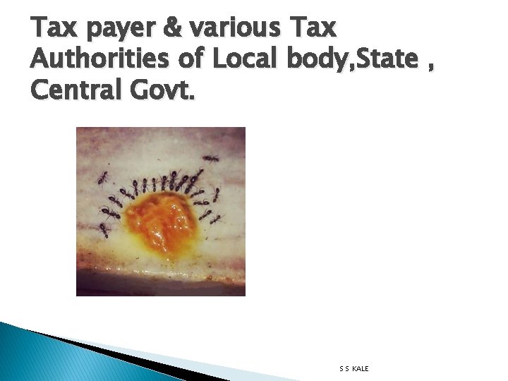 Tax payer & various Tax Authorities of Local body, State , Central Govt. S
