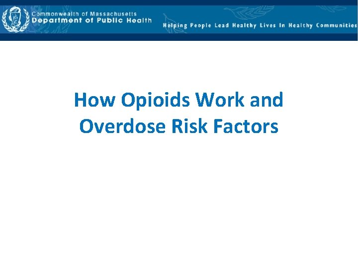 How Opioids Work and Overdose Risk Factors 