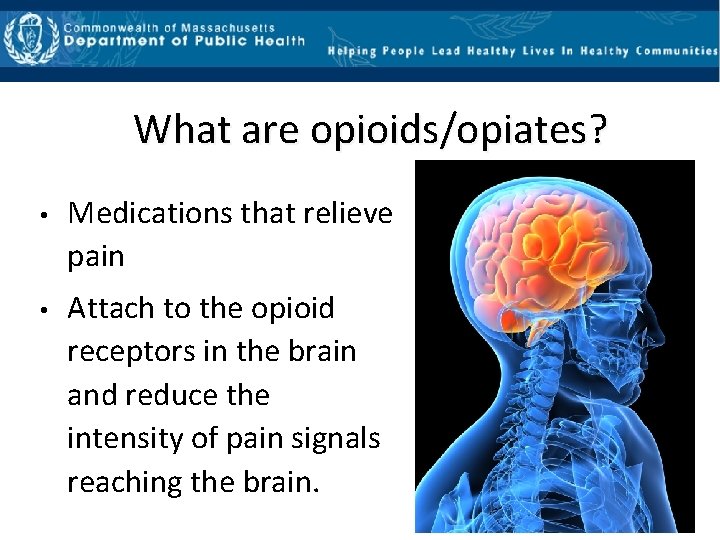 What are opioids/opiates? • Medications that relieve pain • Attach to the opioid receptors