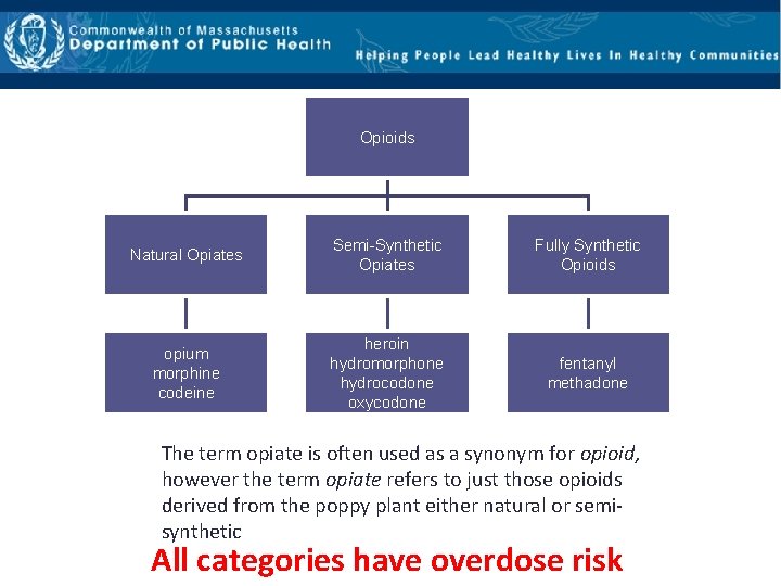 Opioids Natural Opiates Semi-Synthetic Opiates Fully Synthetic Opioids opium morphine codeine heroin hydromorphone hydrocodone