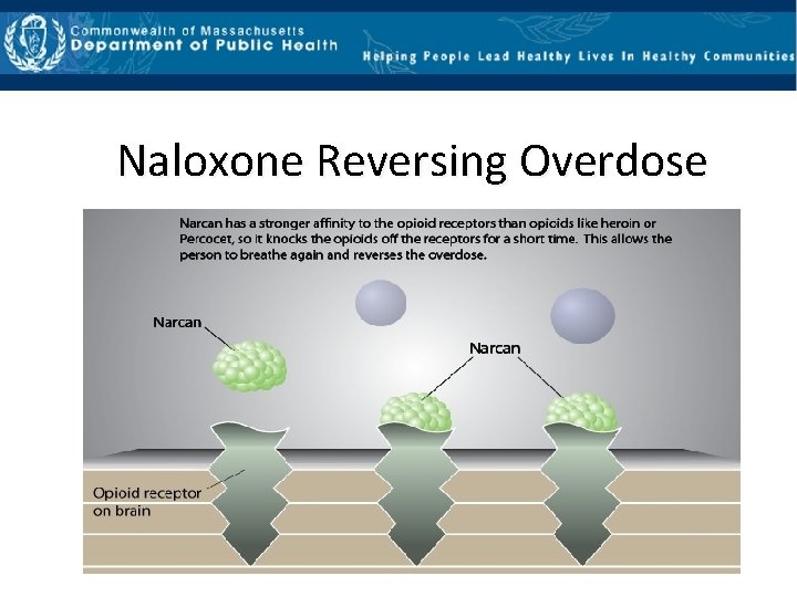Naloxone Reversing Overdose 