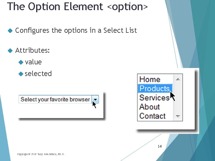 The Option Element <option> Configures the options in a Select List Attributes: value selected
