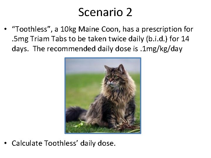 Scenario 2 • “Toothless”, a 10 kg Maine Coon, has a prescription for. 5