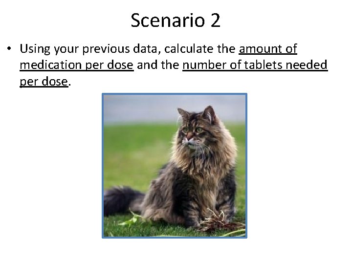 Scenario 2 • Using your previous data, calculate the amount of medication per dose