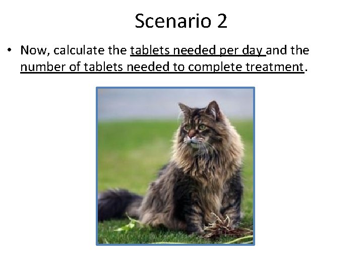 Scenario 2 • Now, calculate the tablets needed per day and the number of
