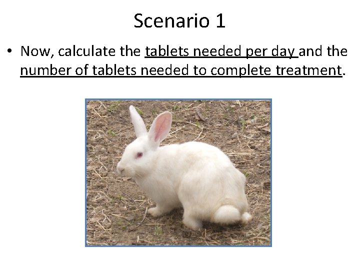 Scenario 1 • Now, calculate the tablets needed per day and the number of