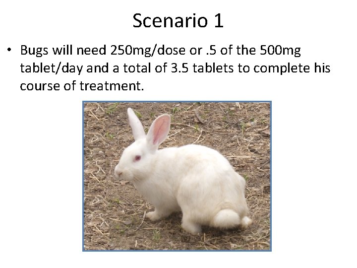 Scenario 1 • Bugs will need 250 mg/dose or. 5 of the 500 mg