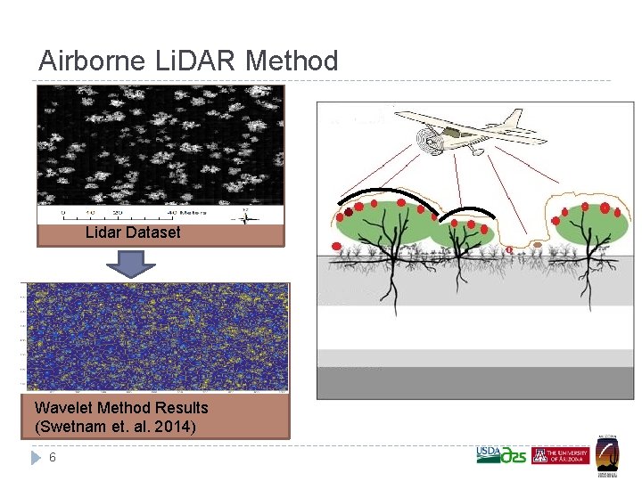 Airborne Li. DAR Method Lidar Dataset Wavelet Method Results (Swetnam et. al. 2014) 6