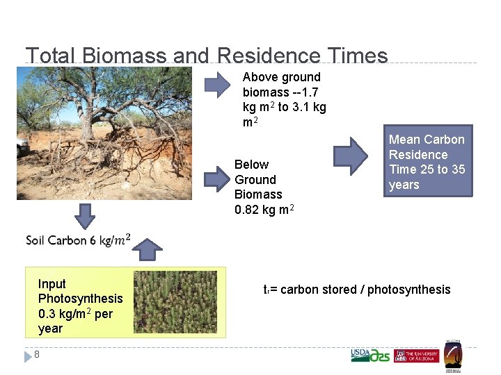 Total Biomass and Residence Times Above ground biomass --1. 7 kg m 2 to