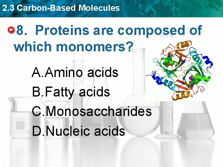 2. 3 Carbon-Based Molecules 8. Proteins are composed of which monomers? A. Amino acids