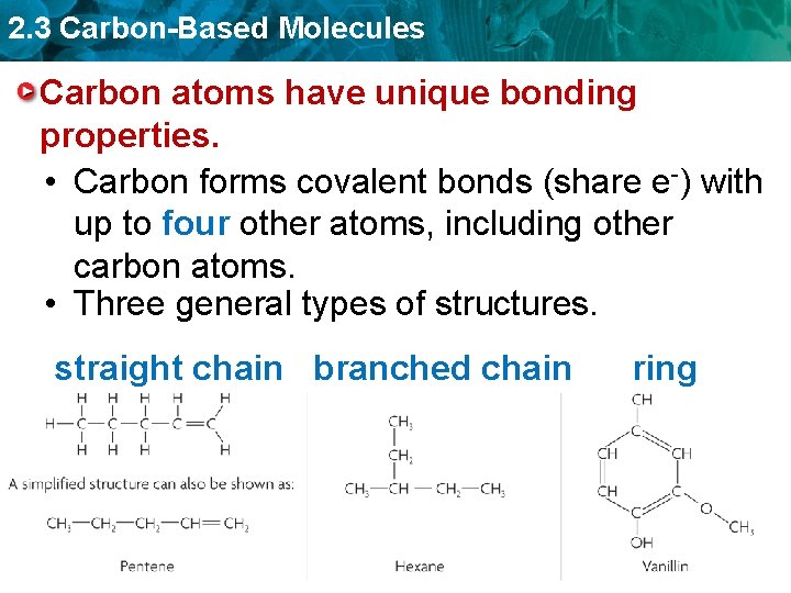 2. 3 Carbon-Based Molecules Carbon atoms have unique bonding properties. • Carbon forms covalent