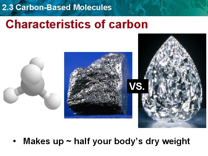 2. 3 Carbon-Based Molecules Characteristics of carbon VS. • Makes up ~ half your