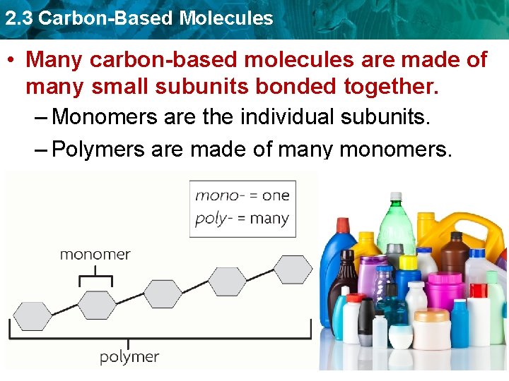 2. 3 Carbon-Based Molecules • Many carbon-based molecules are made of many small subunits