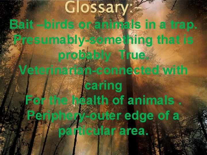 Glossary: - Bait –birds or animals in a trap. Presumably-something that is probably True.