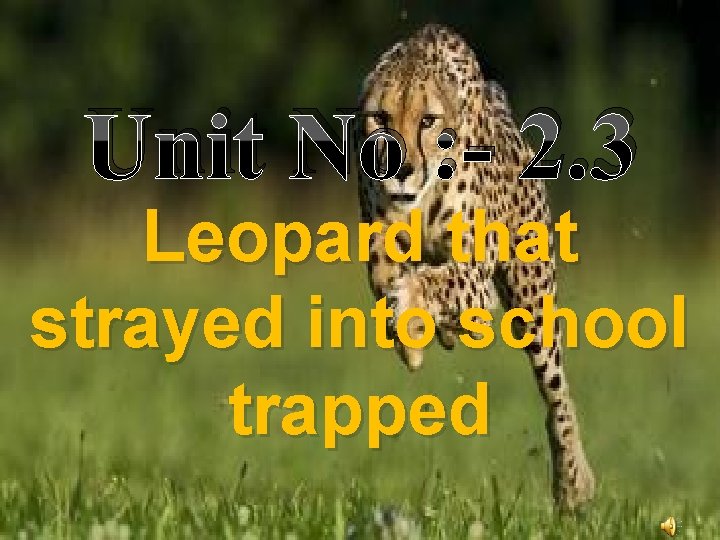 Unit No : - 2. 3 Leopard that strayed into school trapped 