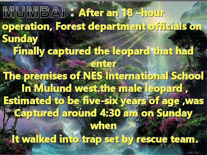 MUMBAI : After an 18 –hour operation, Forest department officials on Sunday Finally captured