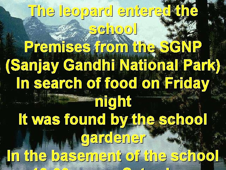 The leopard entered the school Premises from the SGNP (Sanjay Gandhi National Park) In