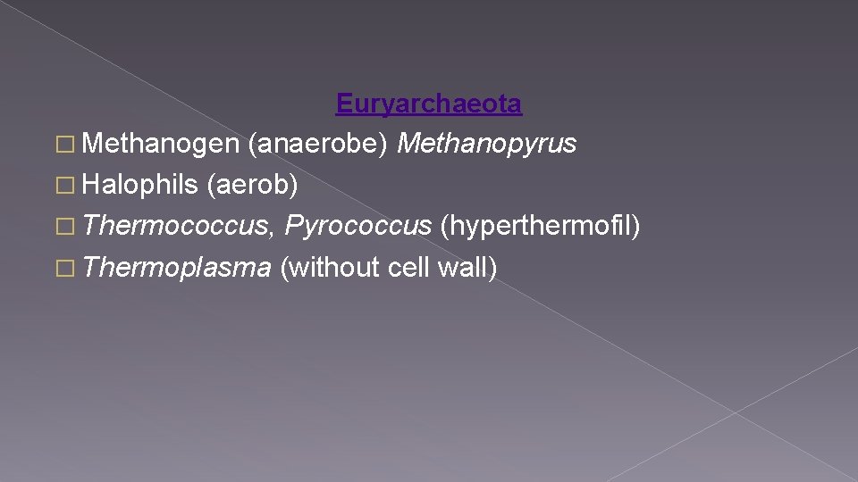 Euryarchaeota � Methanogen (anaerobe) Methanopyrus � Halophils (aerob) � Thermococcus, Pyrococcus (hyperthermofil) � Thermoplasma