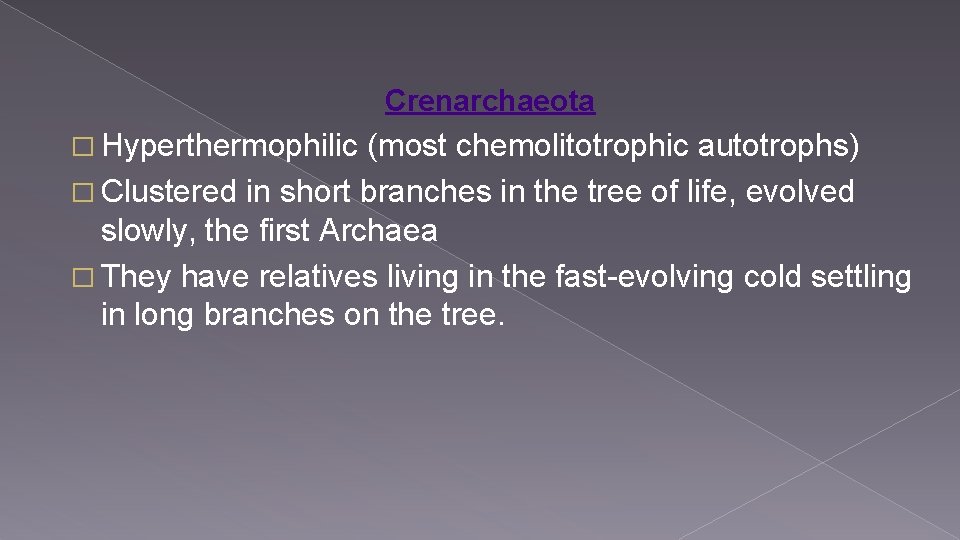 Crenarchaeota � Hyperthermophilic (most chemolitotrophic autotrophs) � Clustered in short branches in the tree