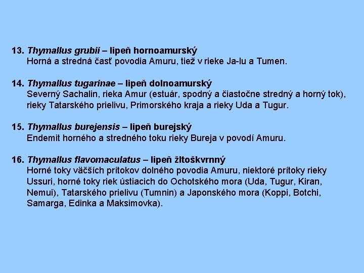 13. Thymallus grubii – lipeň hornoamurský Horná a stredná časť povodia Amuru, tiež v